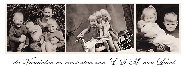 header-foto-lambertus-van-daal