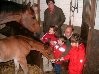 050900-eric-fam-paard-a (56K)