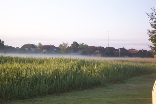 040531-ochtenden (44K)