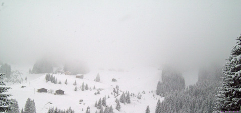 090208-sneeuwwandeling-mist (122K)