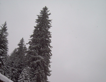 090208-sneeuwwandeling1 (119K)