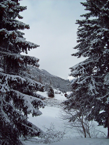 090209-sneeuwwandeling-zon (133K)
