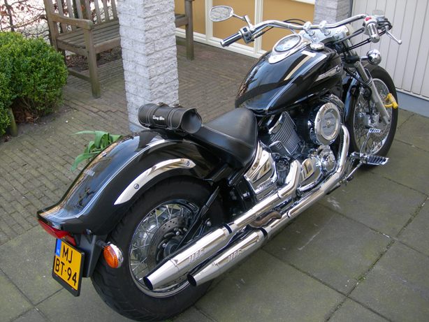 patricks-trots (72K)