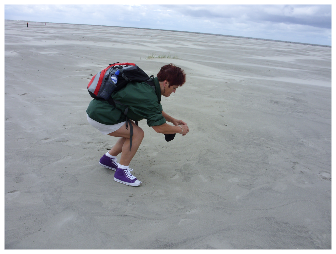 090718-foto-zandvis (3634K)