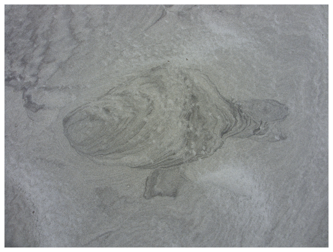 090718-gewoon-verwaaid-zand (4050K)